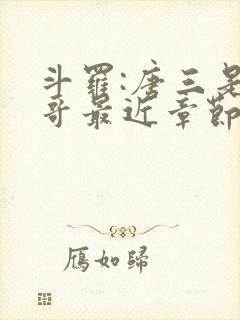 斗罗:唐三是我哥最近章节