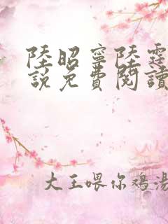 陆昭宁陆霆骁小说免费阅读最新章节