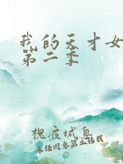 我的天才女友 第二季