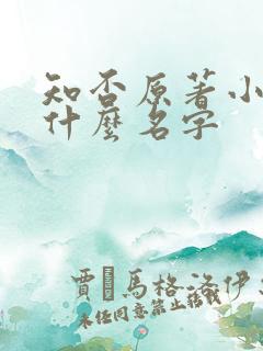 知否原著小说叫什么名字