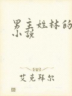 男主姓林的玄幻小说