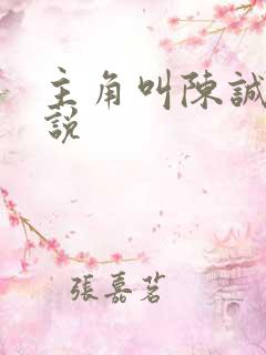 主角叫陈诚的小说