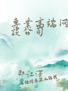 专业高端网站建设公司