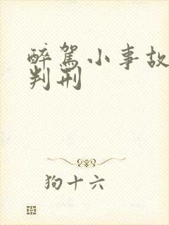 醉驾小事故怎么判刑