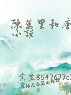 陈万里和唐嫣然小说