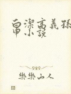 白洁高义孙倩王申小说