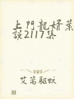 上门龙婿叶辰小说2117集