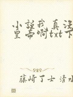 小说我真没想当皇帝啊txt下载