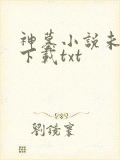 神墓小说未删版下载txt