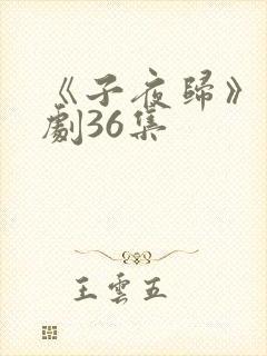 《子夜归》电视剧36集