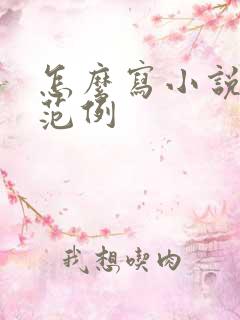 怎么写小说大纲范例