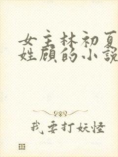 女主林初夏男主姓顾的小说