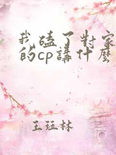 我磕了对家x我的cp讲什么
