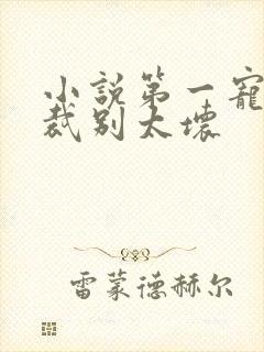 小说第一宠婚总裁别太坏