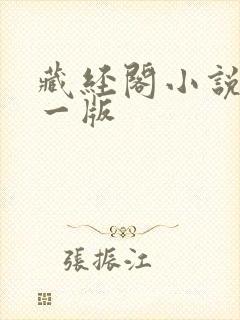 藏经阁小说网第一版