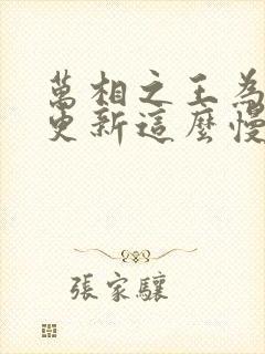 万相之王为什么更新这么慢