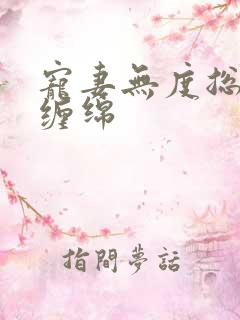 宠妻无度总裁狠缠绵