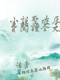 小说圣墟辰东免费阅读全文无窗口