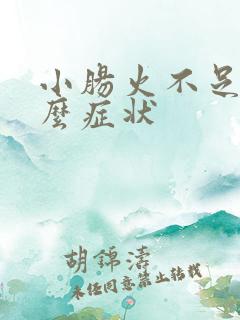 小肠火不足是什么症状