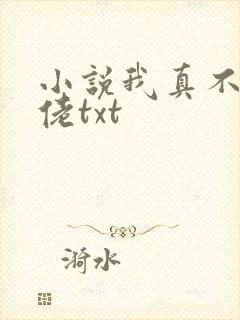 小说我真不是大佬txt