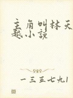 主角叫林天的穿越小说