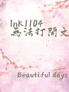 lnk1104无法打开文件.exe