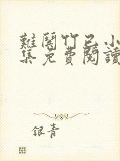 难哄竹已小说全集免费阅读