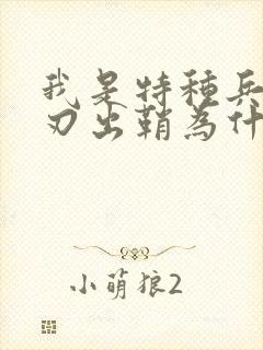 我是特种兵之利刃出鞘为什么看不了