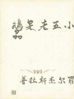 鹅是老五小说作品