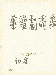 黄渤和袁泉演的电视剧叫什么名字