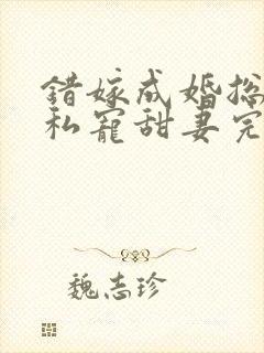 错嫁成婚总裁的私宠甜妻完整版