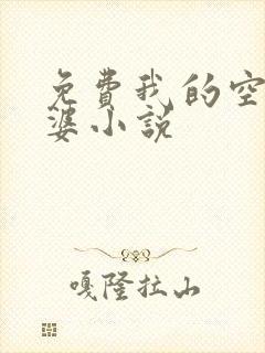 免费我的空姐老婆小说