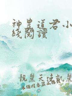 神农道君小说在线阅读