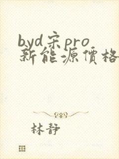 byd宋pro新能源价格
