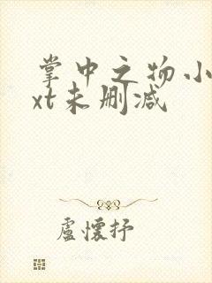 掌中之物小说txt未删减