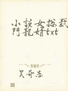 小说女总裁的上门龙婿txt