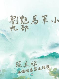 刘艳马军小说第九部