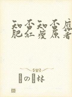 知否知否应是绿肥红瘦原著小说名