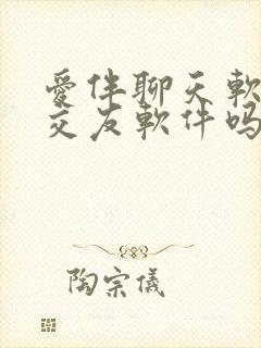 爱伴聊天软件是交友软件吗