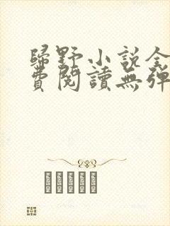 归野小说全文免费阅读无弹窗