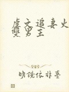 虐文追妻火葬场双男主