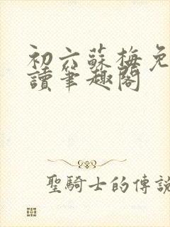 初六苏梅免费阅读笔趣阁