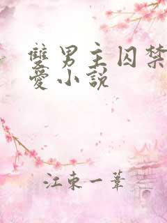 双男主囚禁强制爱小说