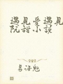 遇见爱遇见幸福阮甜小说