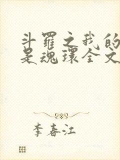 斗罗之我的武魂是魂环全文阅读阅读