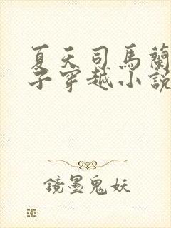 夏天司马兰九皇子穿越小说免费阅读