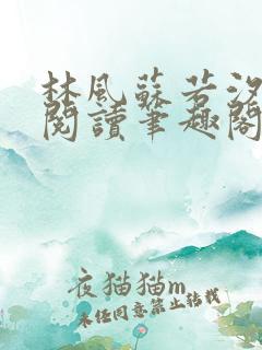 林风苏若汐免费阅读笔趣阁