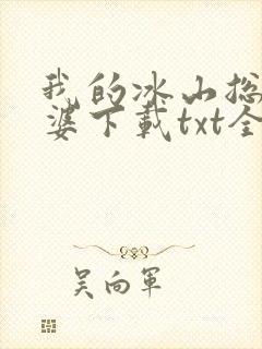 我的冰山总裁老婆下载txt全文