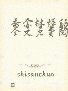 乔念林烨的小说全文免费阅读无弹窗