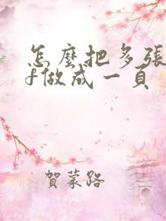 怎么把多张pdf做成一页